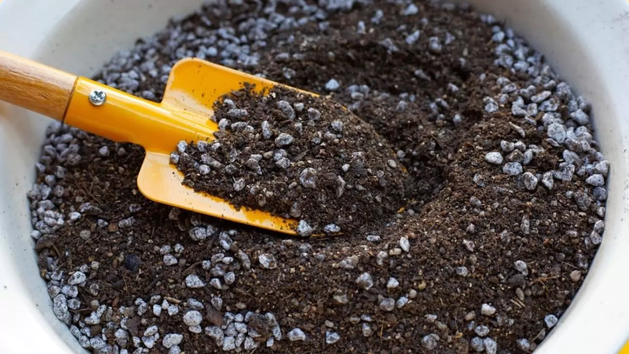 How to Fix Hydrophobic Soil in Your Home 3 Prevent hydrophobic soil