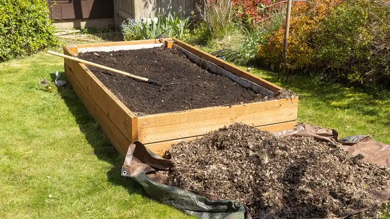 Raised garden bed improved soil