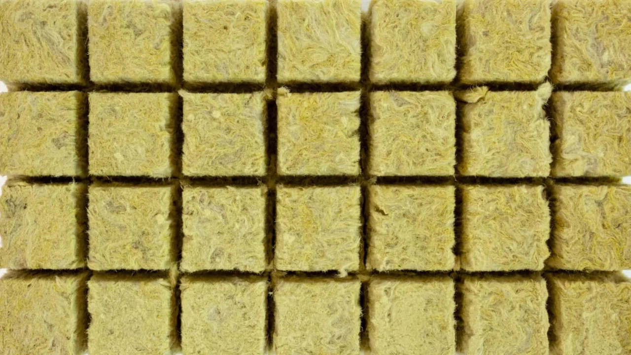 Can You Use Foam as A Hydroponic Growing Medium? 4 Rockwool