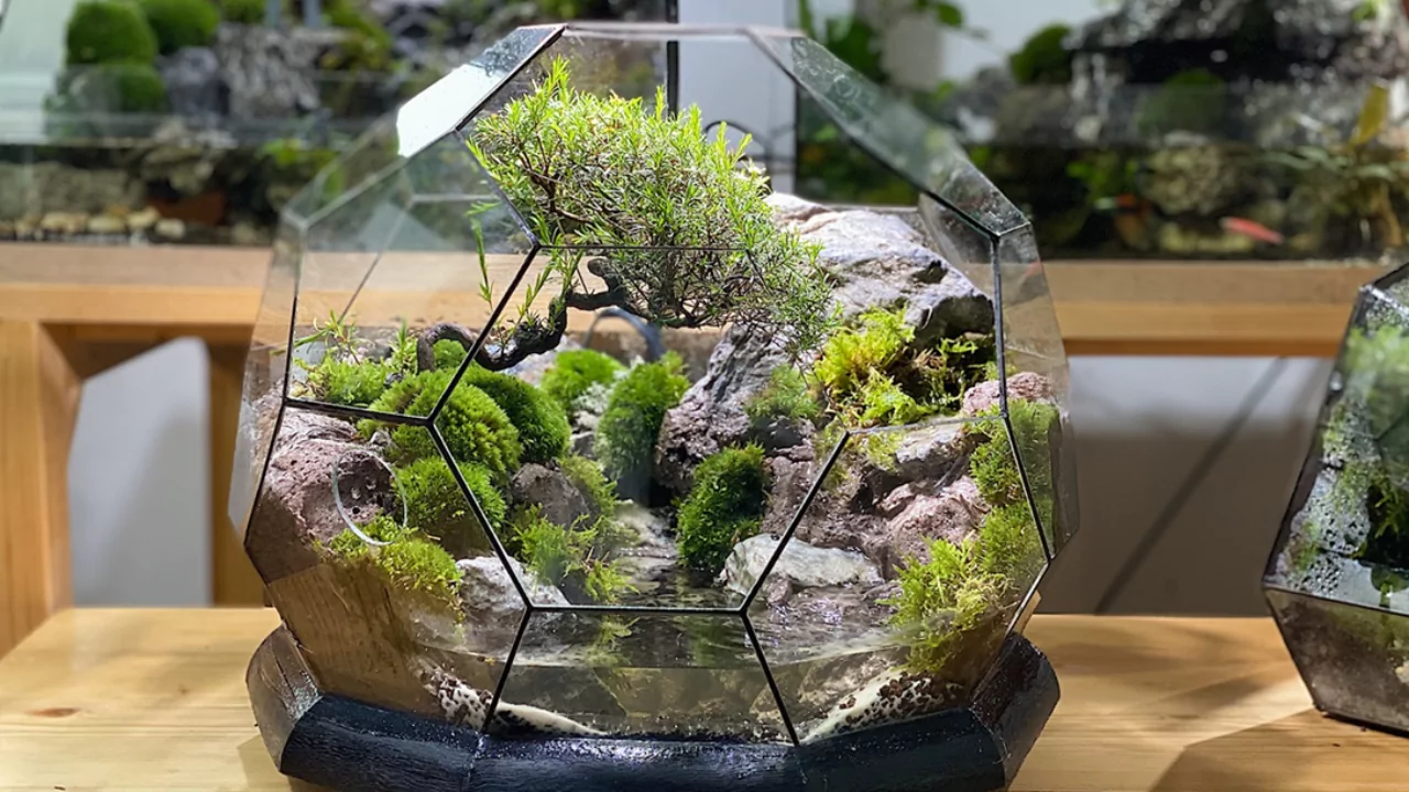 Terrarium design
