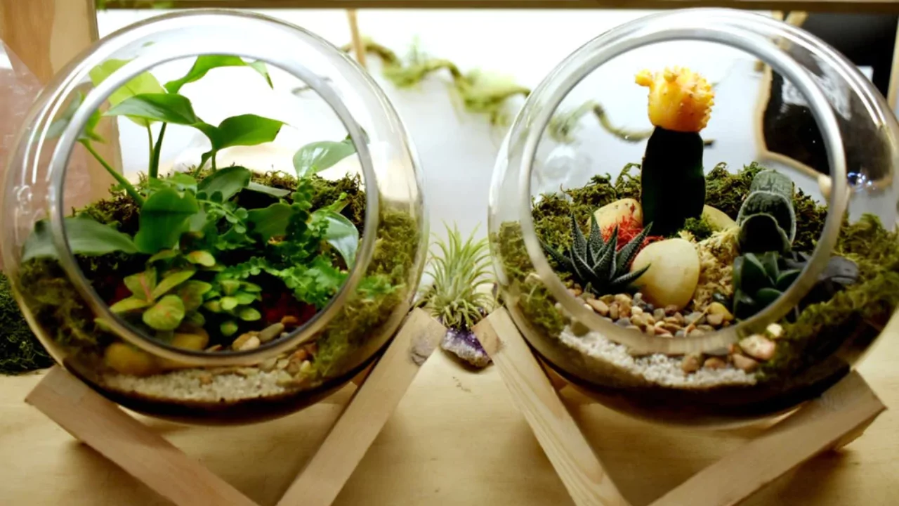 Terrarium sand