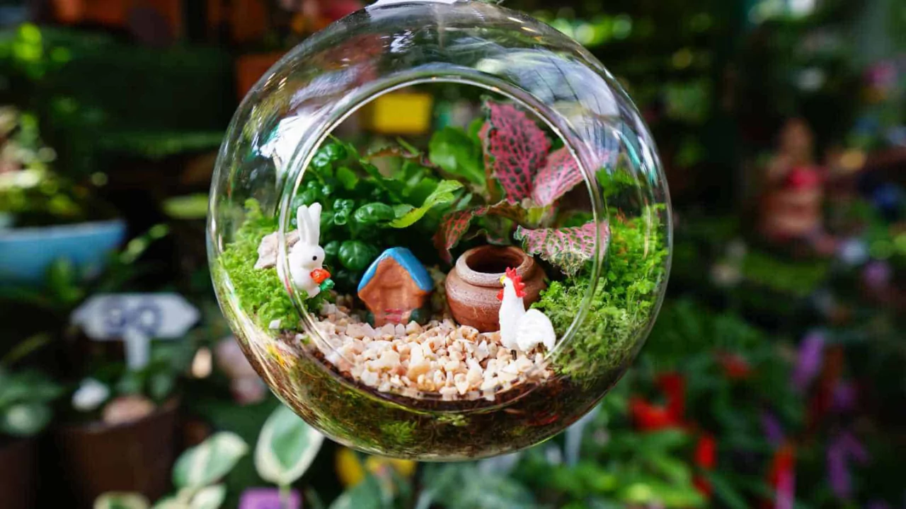 Tiny well designed terrarium