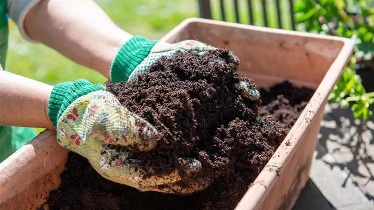 Complete Guide To Garden Soil Mixers