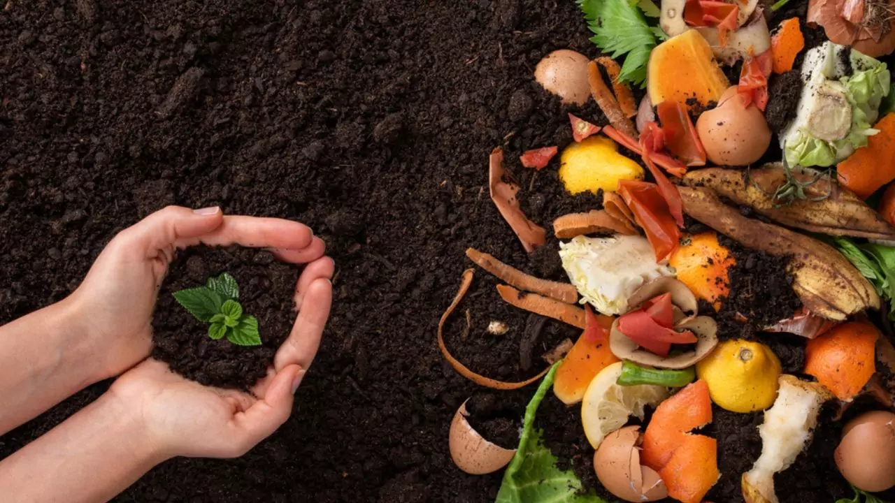 Is Unfinished Compost Bad? What to Do with It