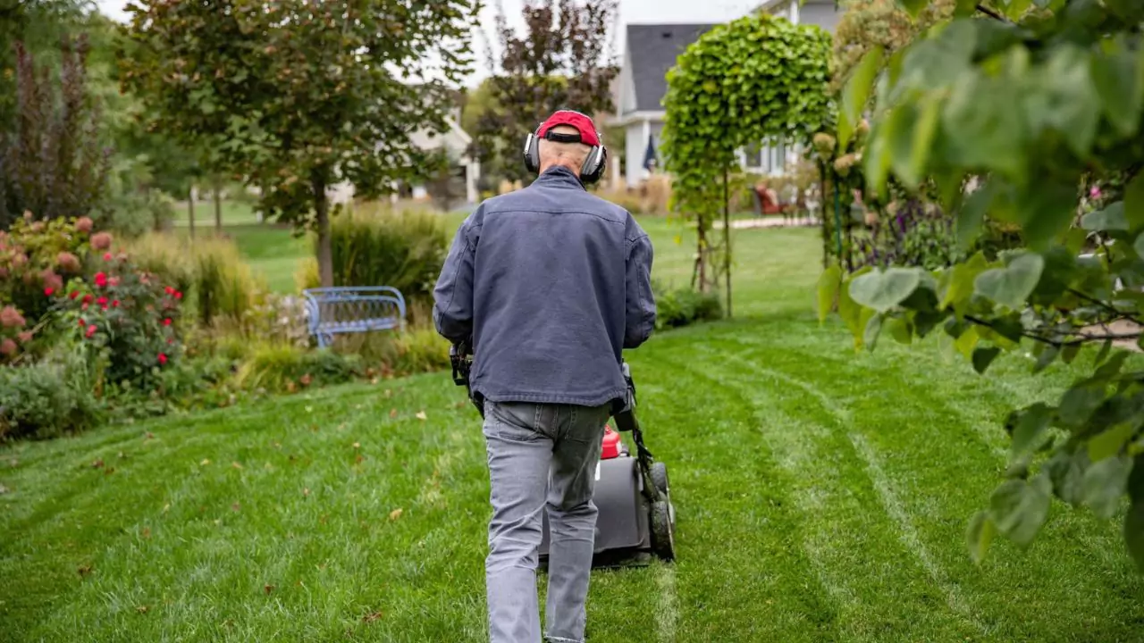 10 of the Best Gardening Ear Defenders