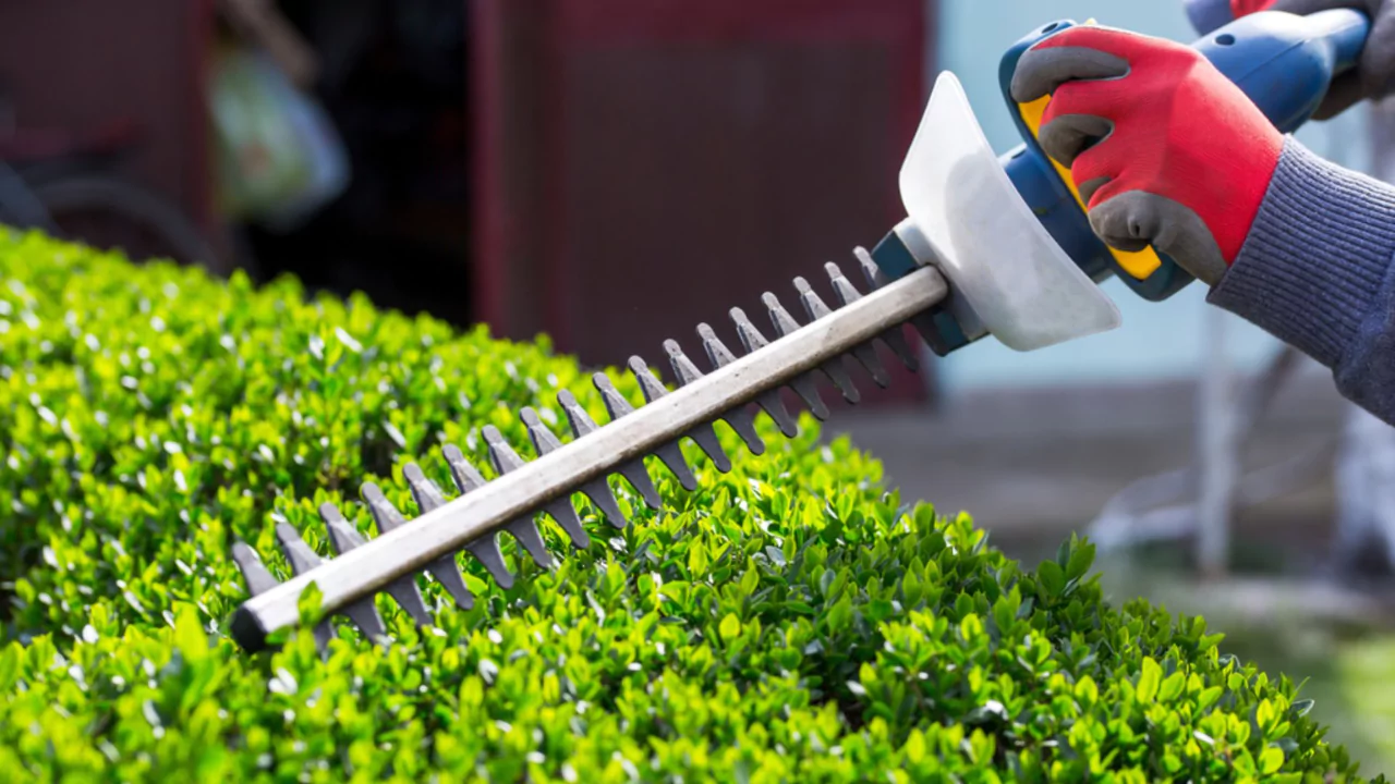 Using Hedge Trimmer