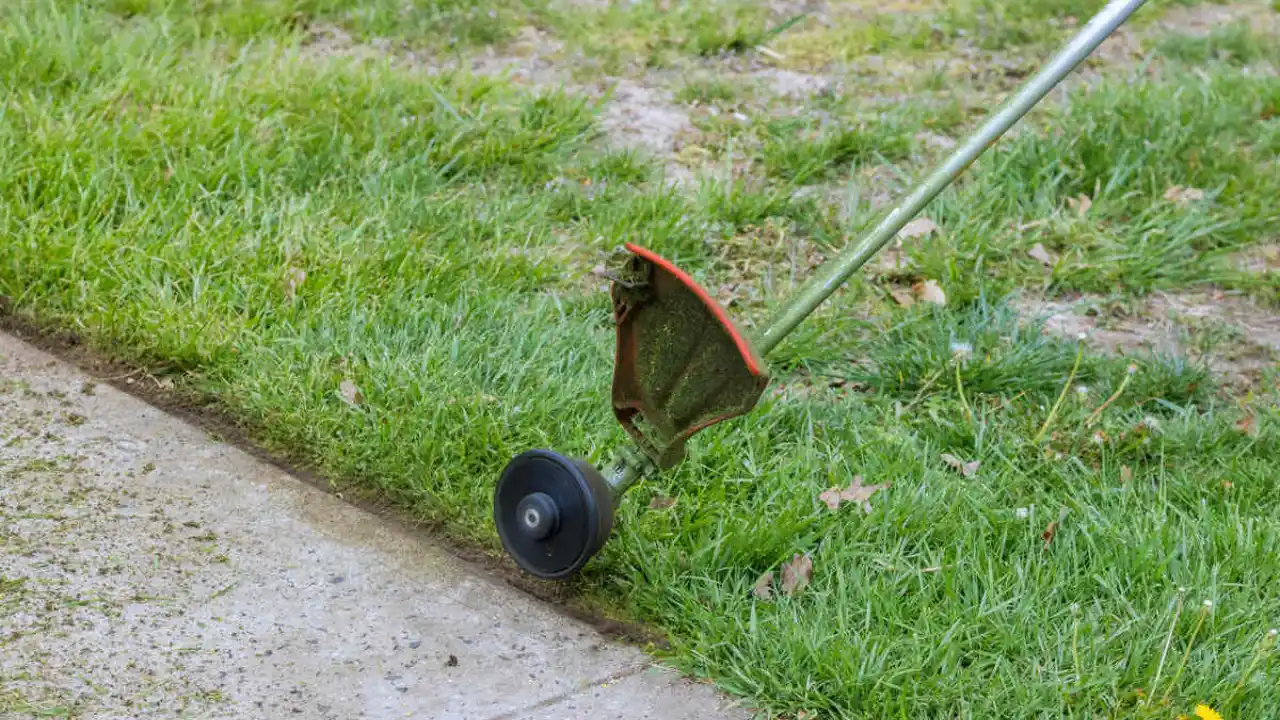 Using String Trimmer