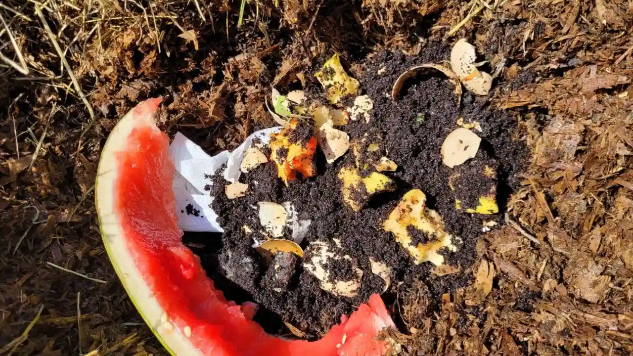 Vermicompost vs Fertilizer: Which is better? 3 Vermicomposting maintenance
