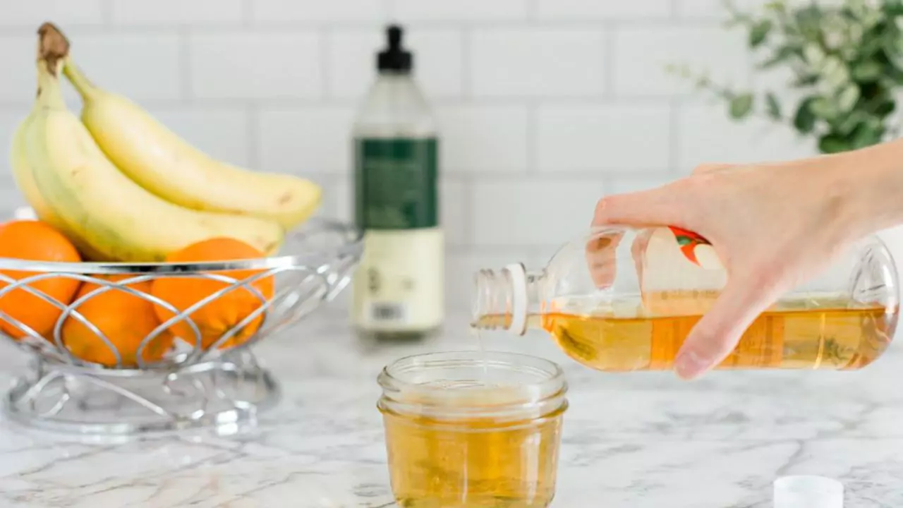 How To Get Rid Of Flies In Compost Bins (Natural And Chemical Options) 4 Vinegar Trap Method