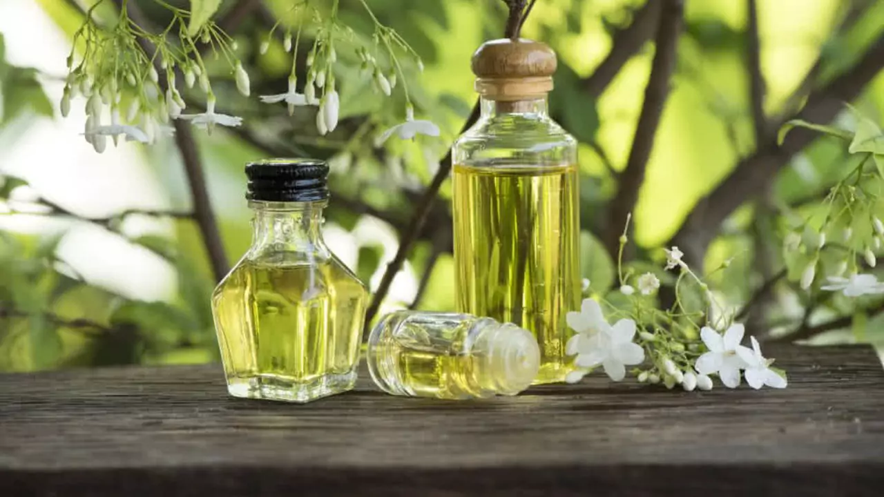 Will Vinegar Kill Succulents? 1 Vinegar wont kill your succulents