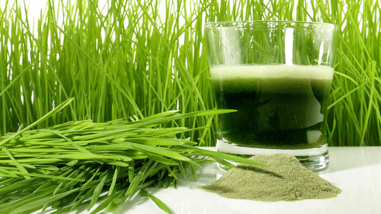 Wheatgrass juice