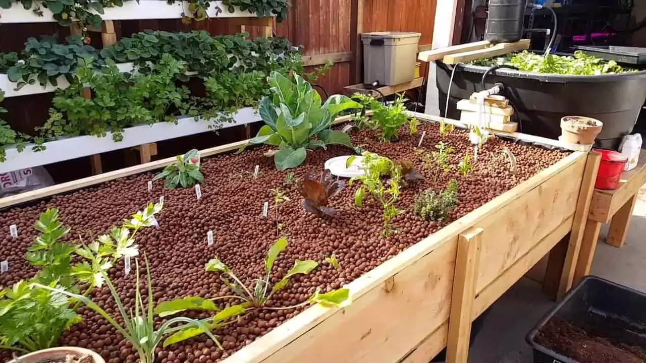 Wicking Bed Aquaponics Guide