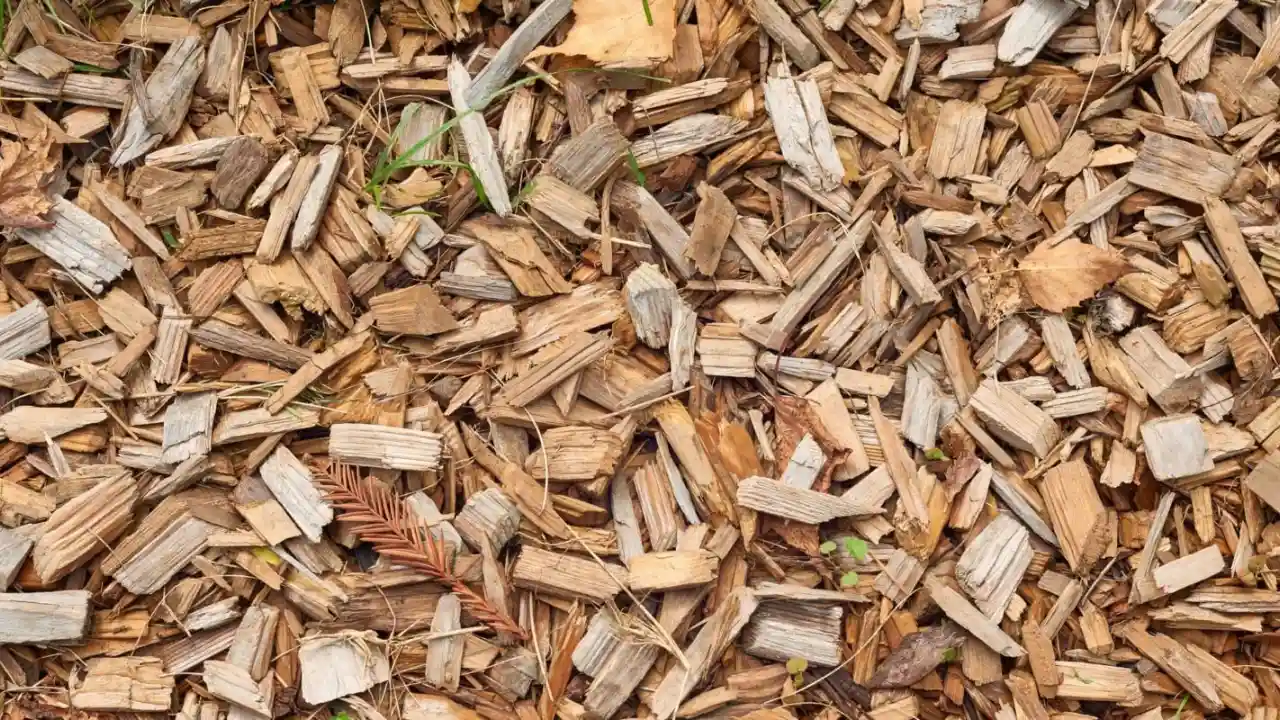 What Is the Best Material to Put under a Swing Set? 4 Wood Chips