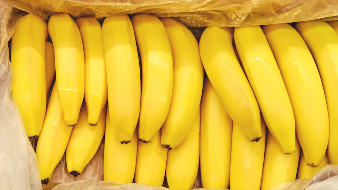 Why Do Organic Bananas Last Longer? 3 Yellow organic bananas