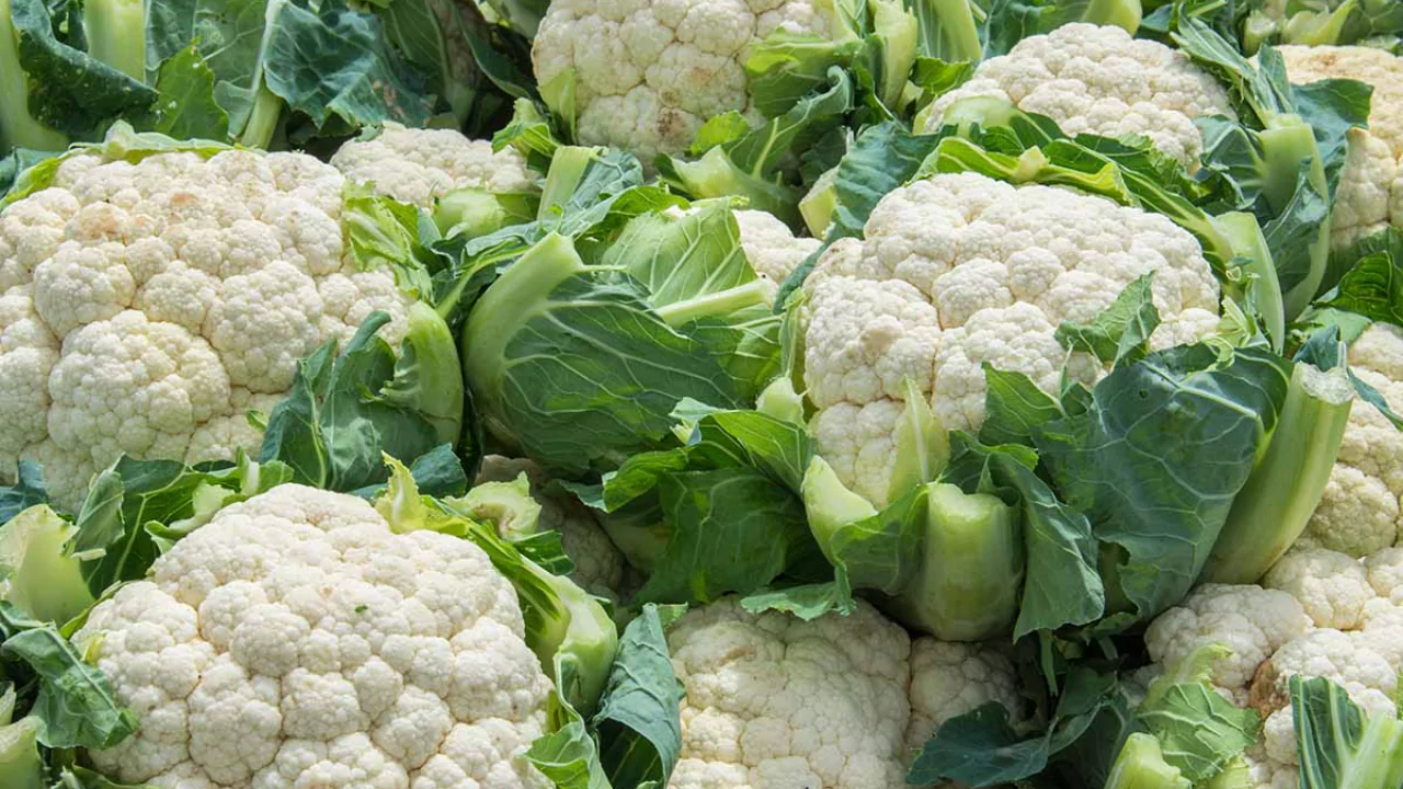 cauliflower