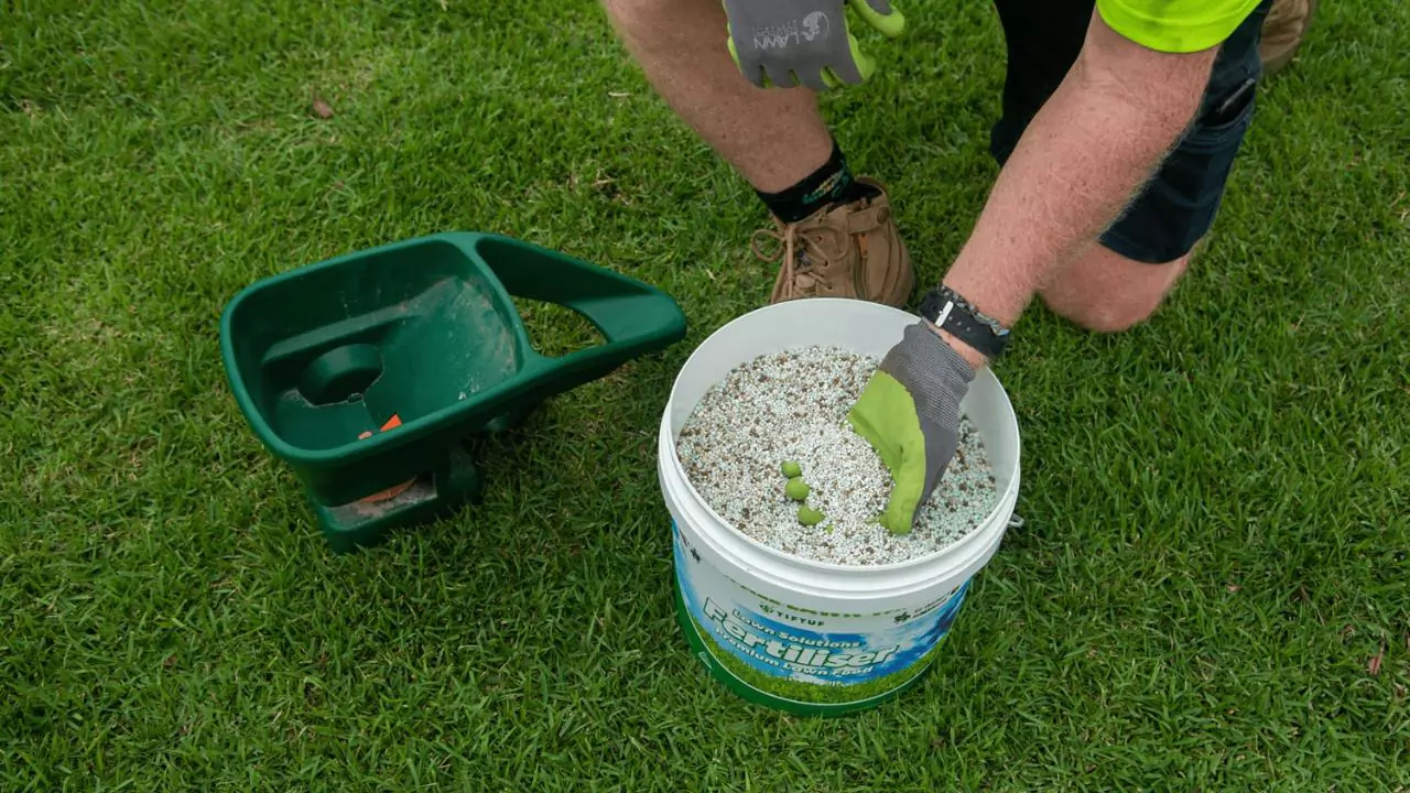 Winter Fertilizer Numbers Explained 2 fertilizer 2