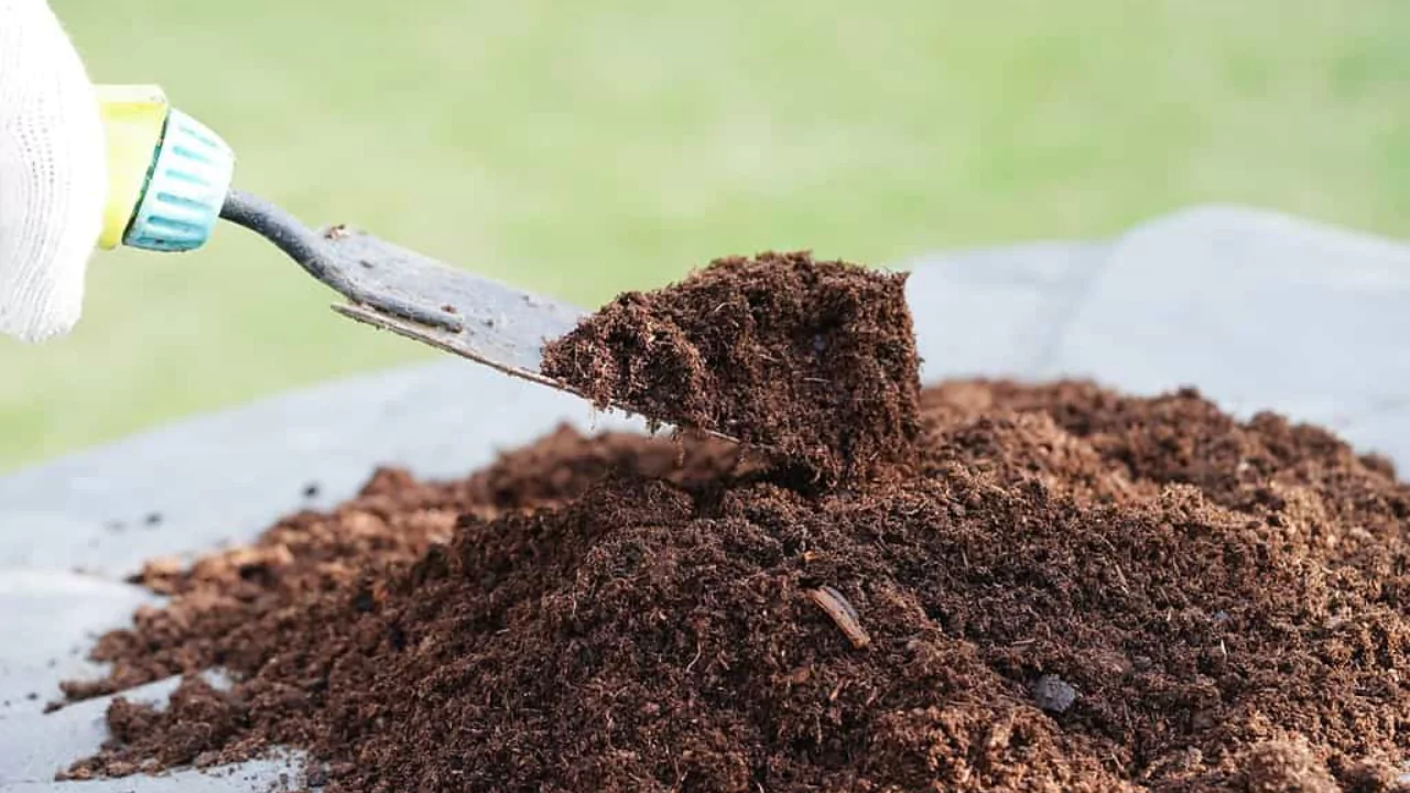 Will Organic Fertilizer Burn Grass/Plants? 2 most effective organic fertilizer 1