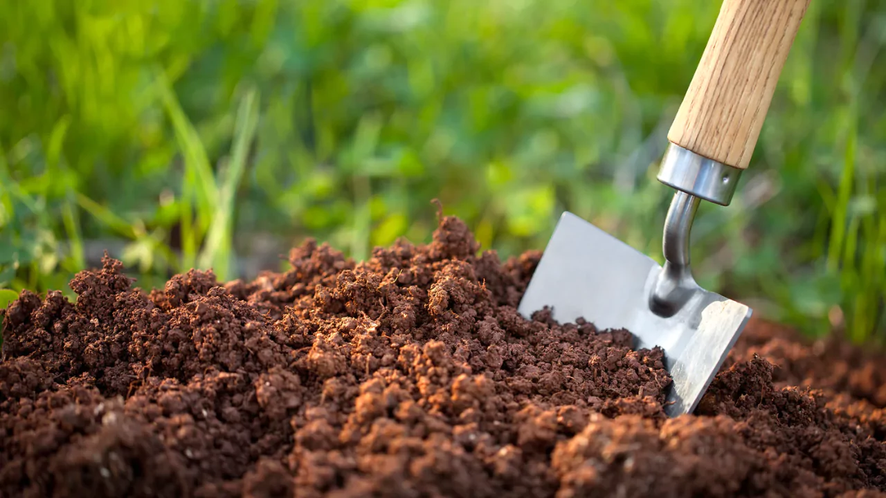 Will Organic Fertilizer Burn Grass/Plants? 1 most effective organic fertilizer