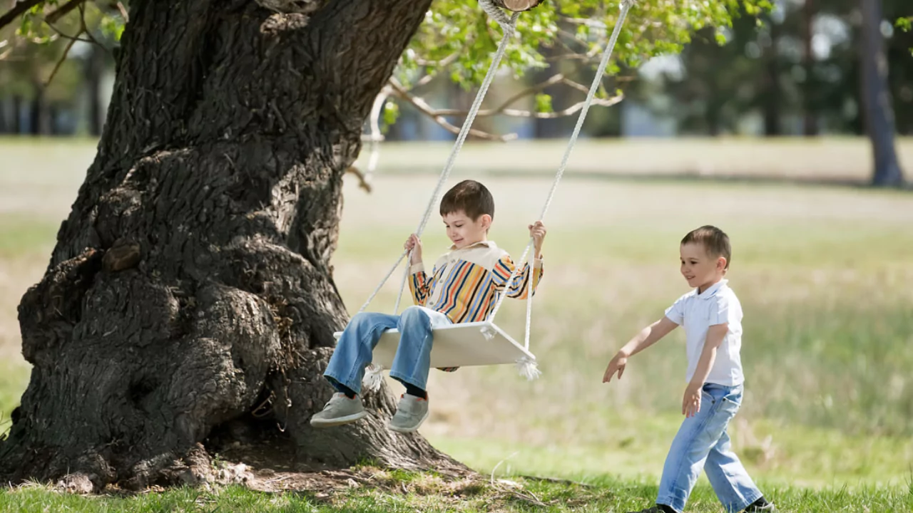 What Are the Best Trees to Hang a Swing From