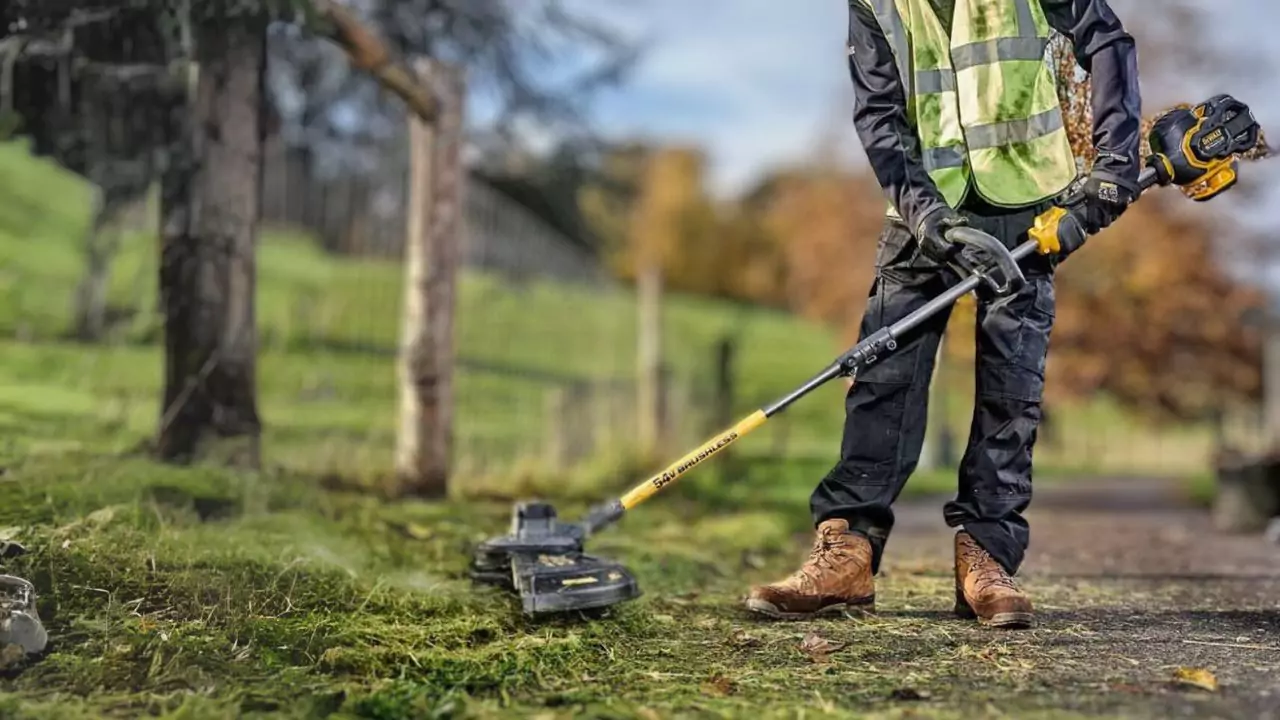 strimmer for my garden jobs
