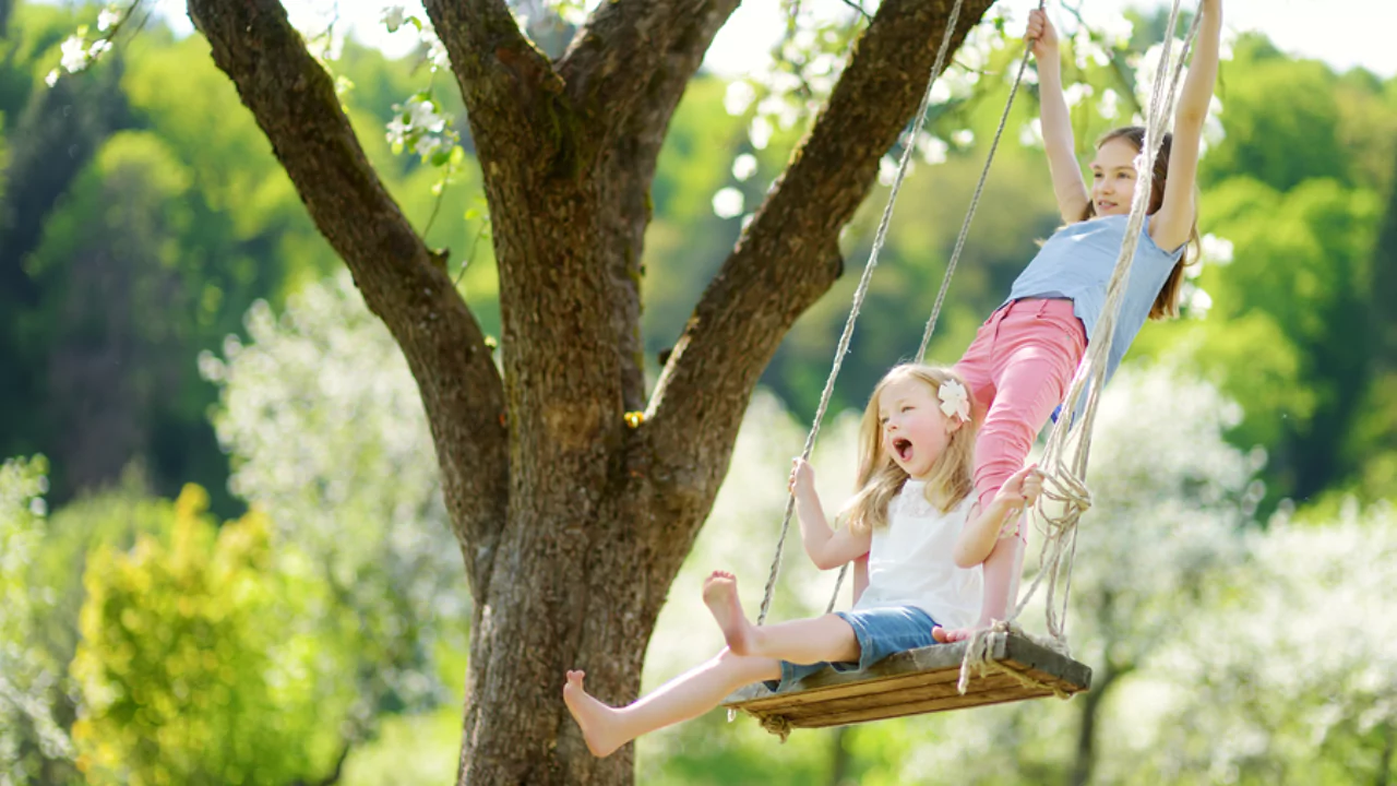trees for swings
