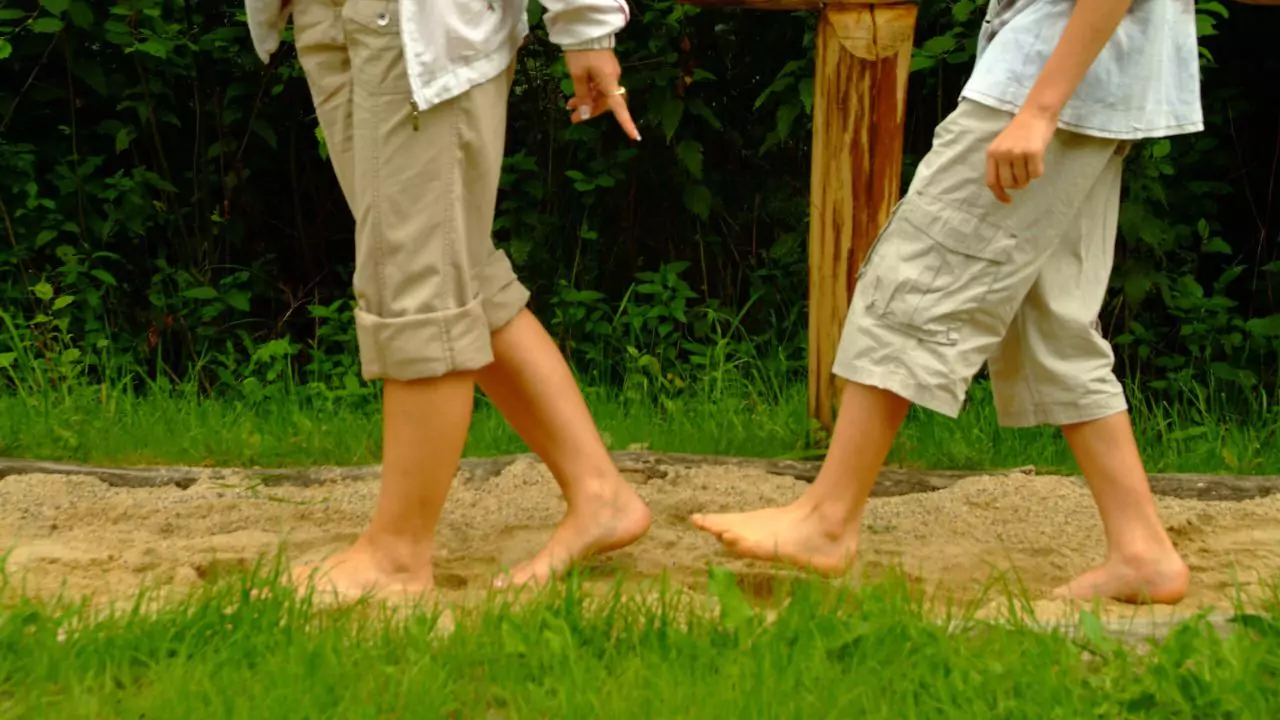 Natural Backyard Playgrounds