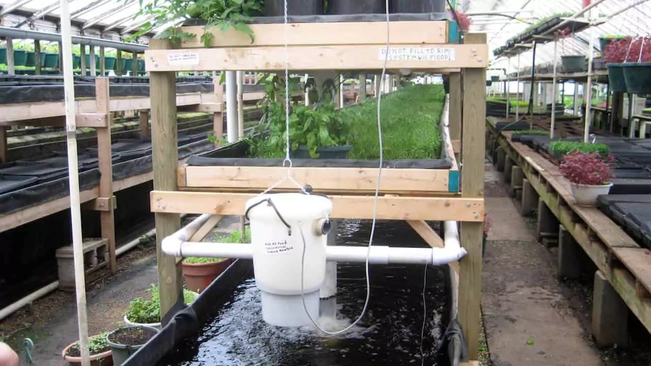 Aquaponics system process