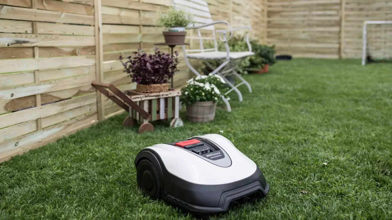 Can Robotic Mowers Cut Long Grass or Weeds? 2 Average robotic mower 2