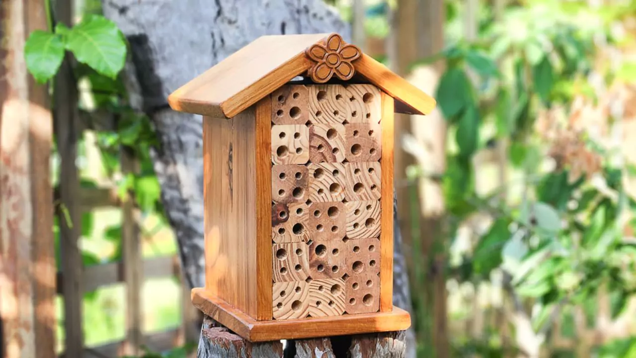 What Is a Bee Hotel