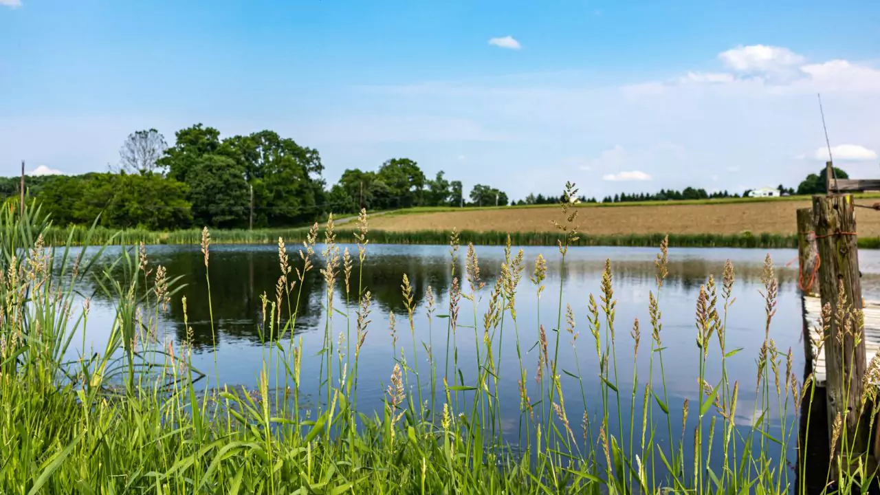 Best locations for Farm ponds