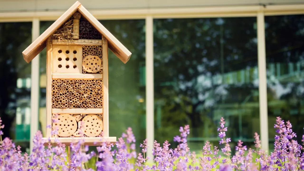 What Is a Bee Hotel? A Beginner’s Guide to Garden Bee Hotels 2 Build bee hotel