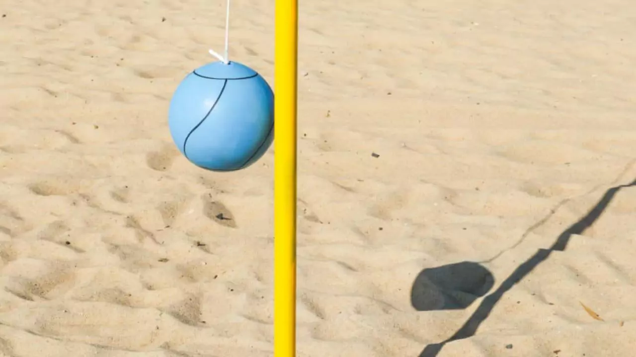 Can dogs play tetherball alone