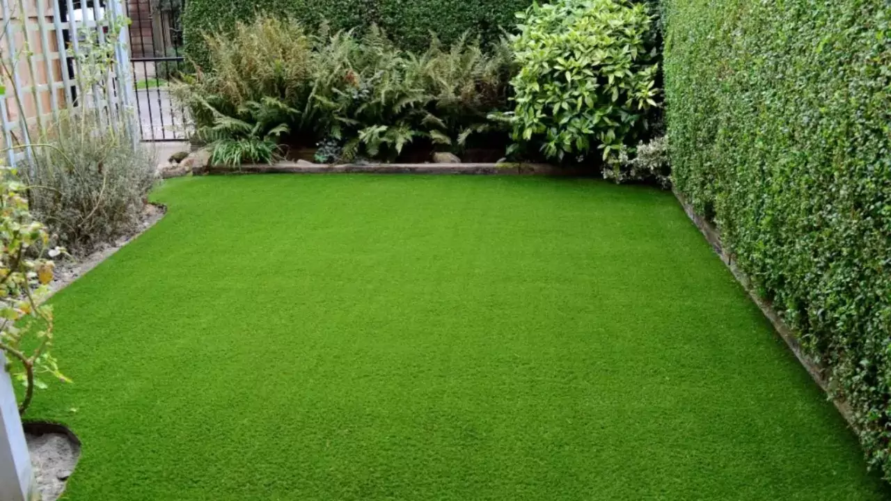 Cleaning artificial grass