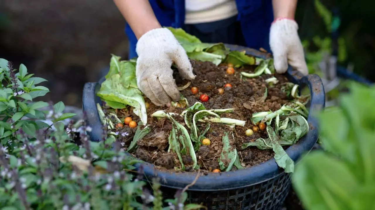 Topsoil Vs Compost: Which One Is Better? 2 Compost tips