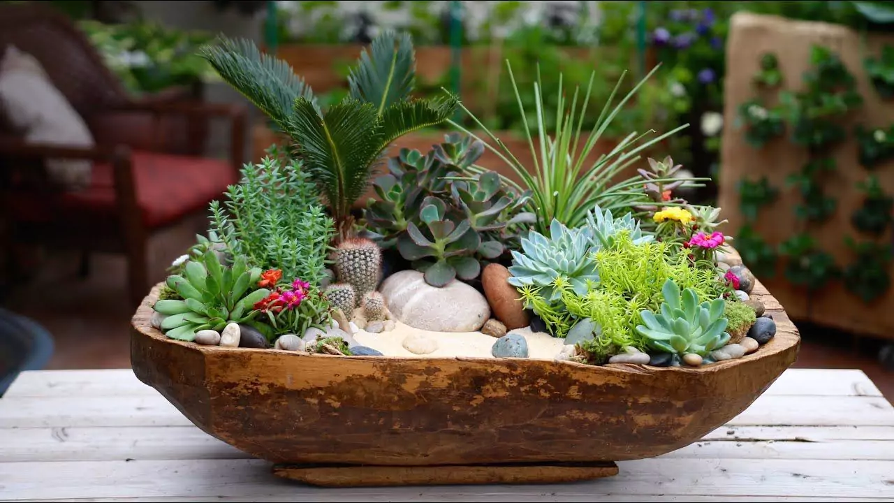 21 Succulent Bowl Planting Design Ideas 3 Double Dish succulents