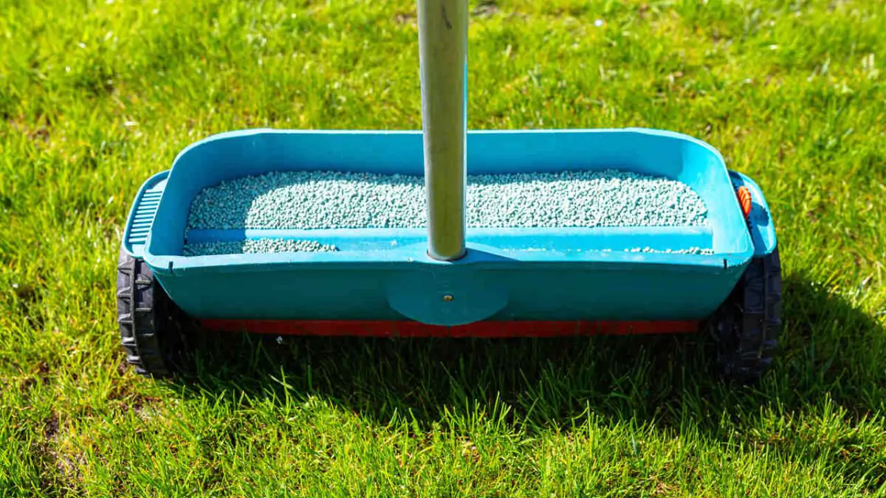 Does Fertilizer Help Grass Grow