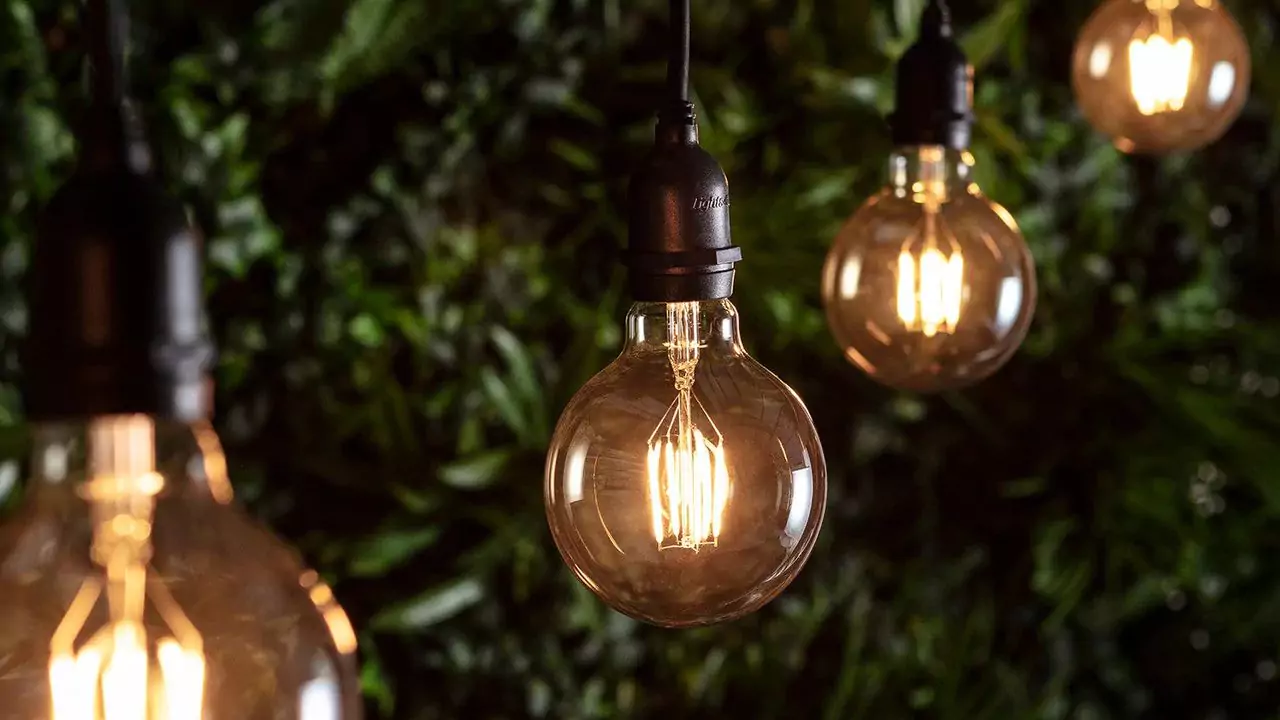 9 Unusual Festoon Lights for Your Garden 6 Festoon light bulb