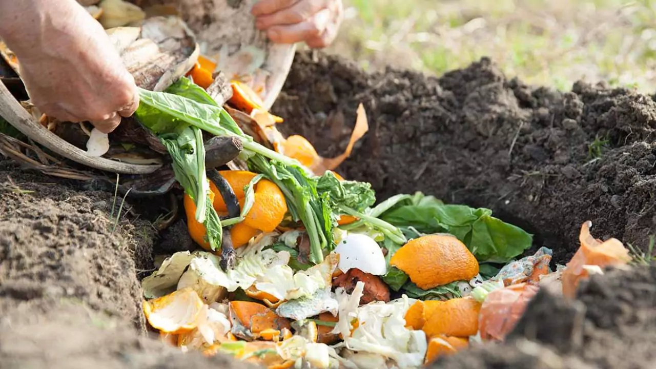 Topsoil Vs Compost: Which One Is Better