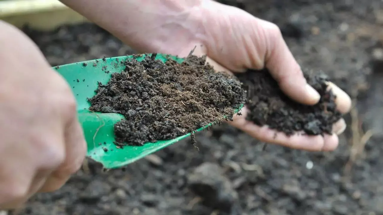 Topsoil Vs Compost: Which One Is Better? 5 Find high quality topsoil