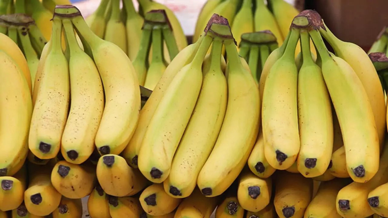 Fresh organic banana