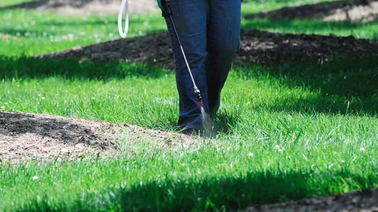 Granular vs Liquid Fertilizer for Lawns and grass