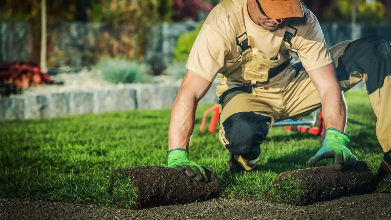 Is it Worth Paying for Lawn Care