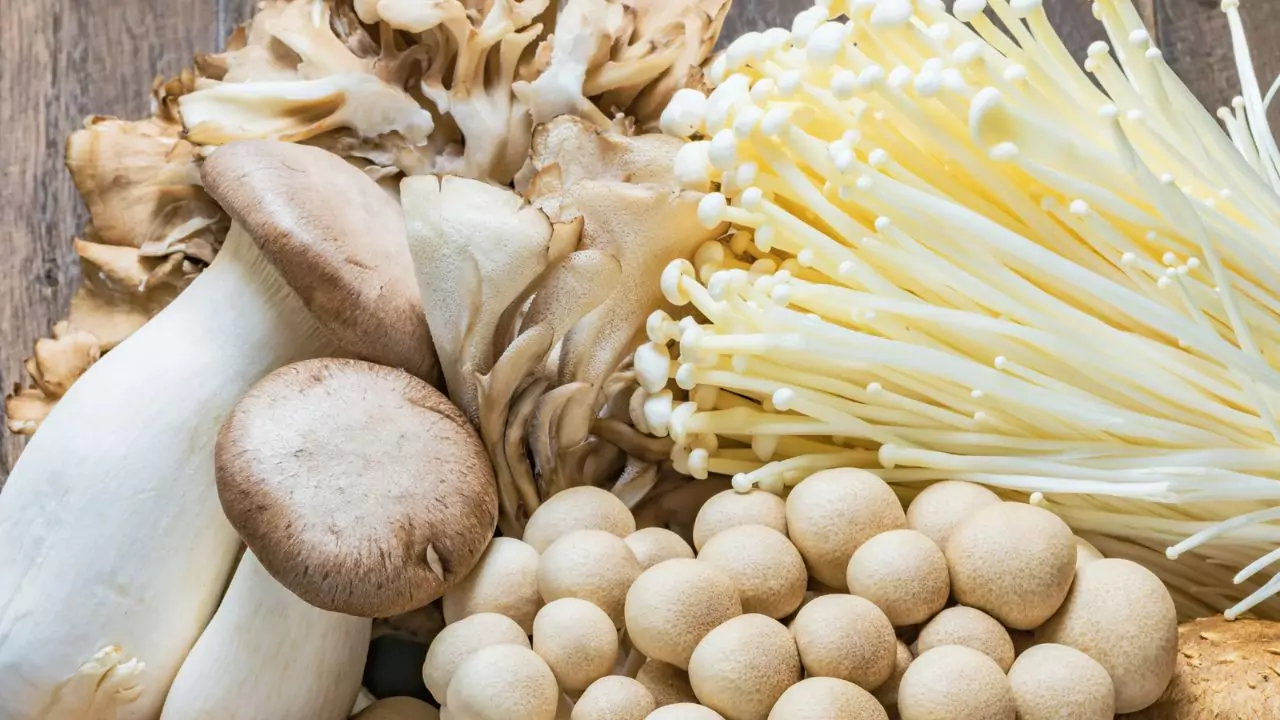 How To Use Organic Mushroom Kit