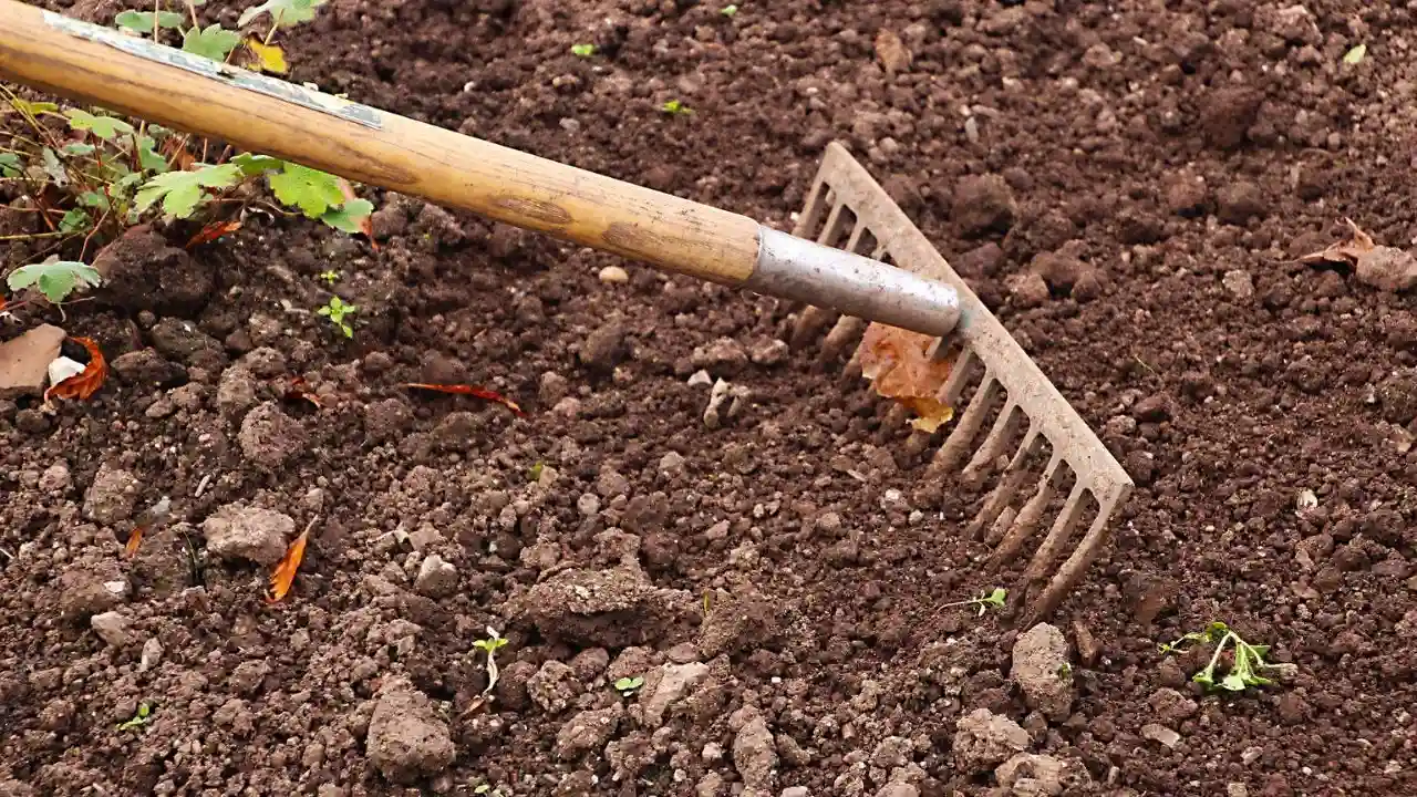 Improve Garden Soil Acidity