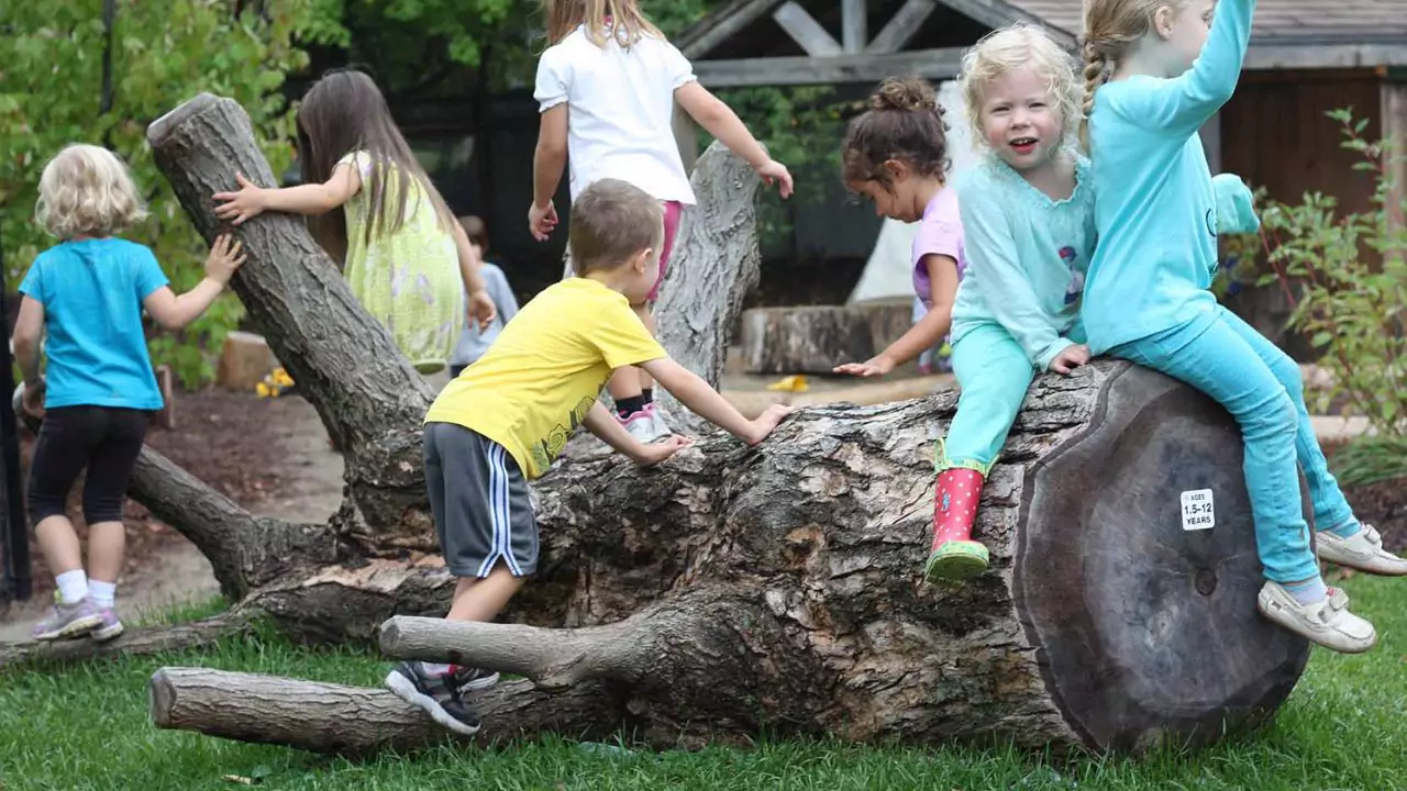 Kids having fun Logs