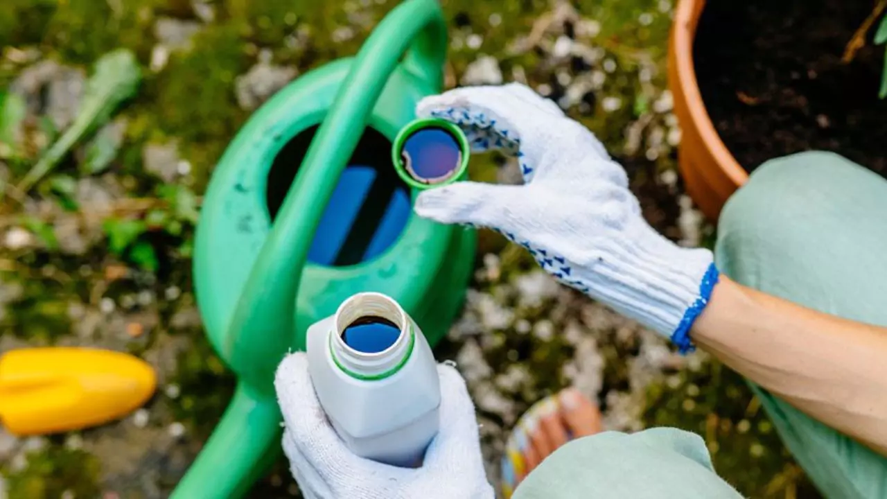 What Does Nitrogen Do for Lawns? (Simple Explanation) 1 Liquid fertilizer