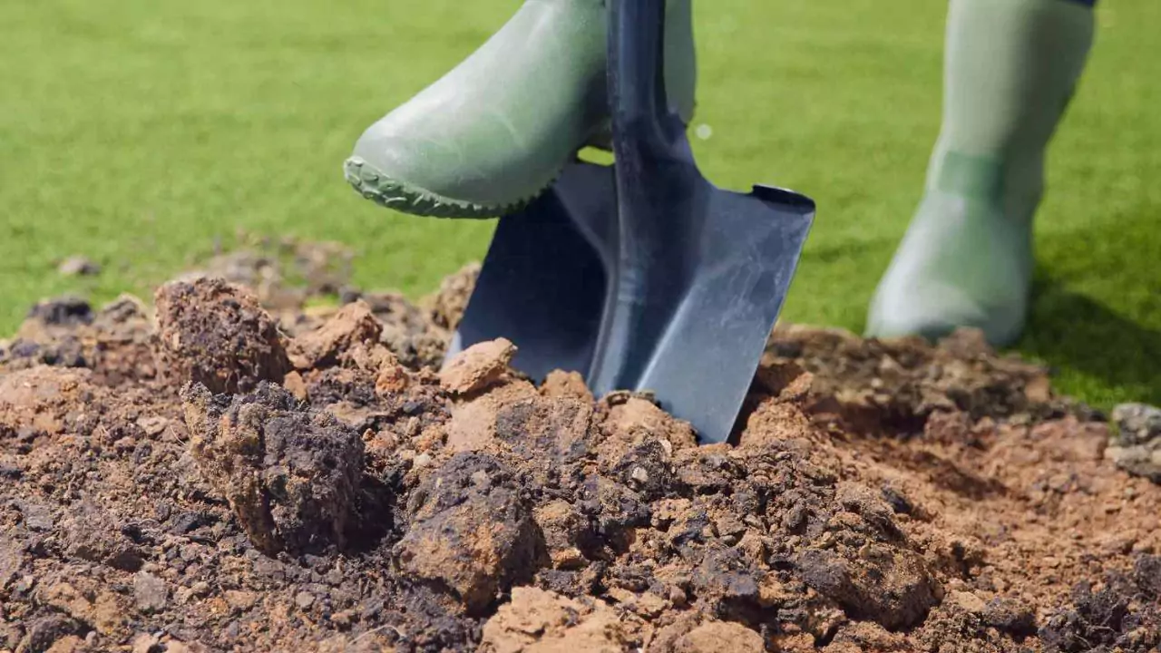 Maintain Or Improve Soil Health Clean Up