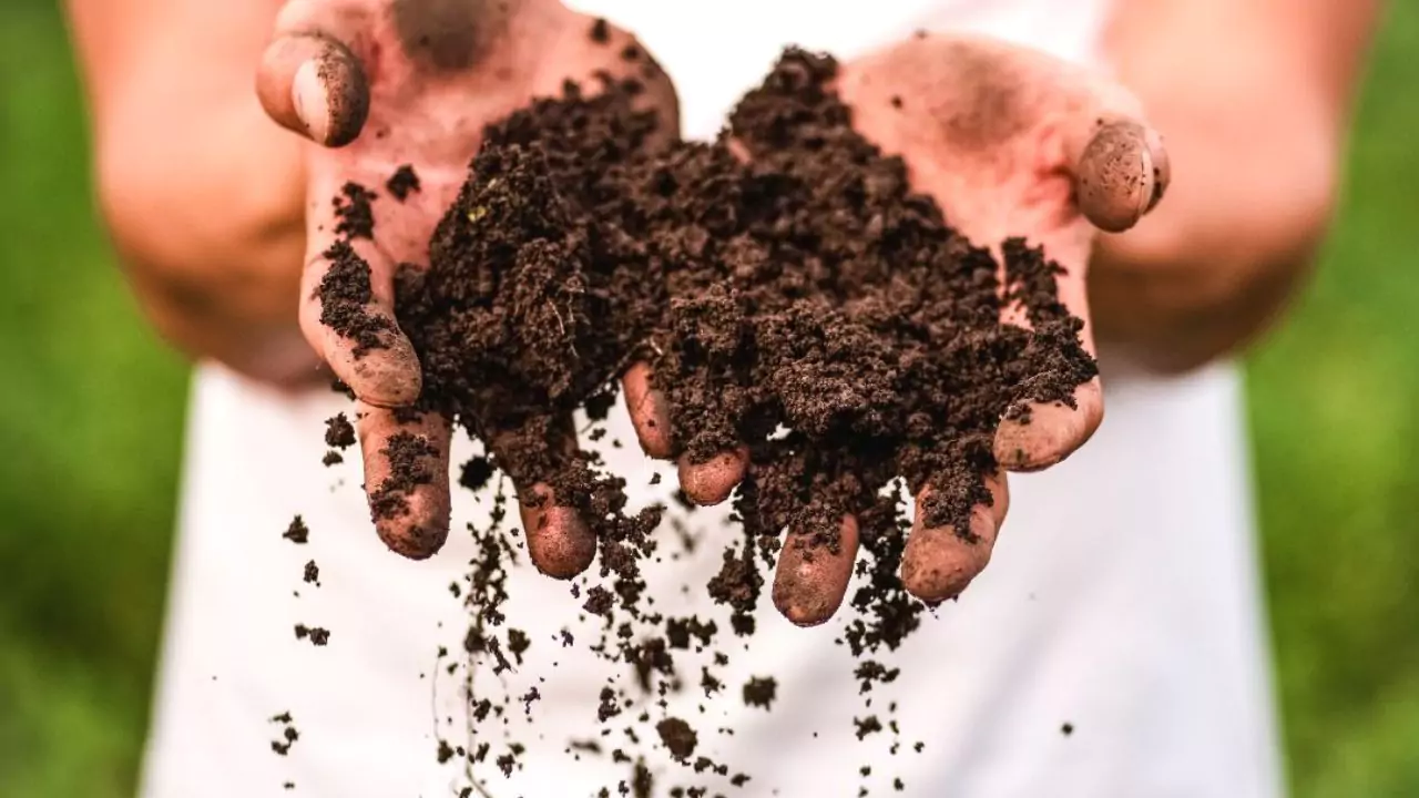 Maintain Or Improve Soil Health