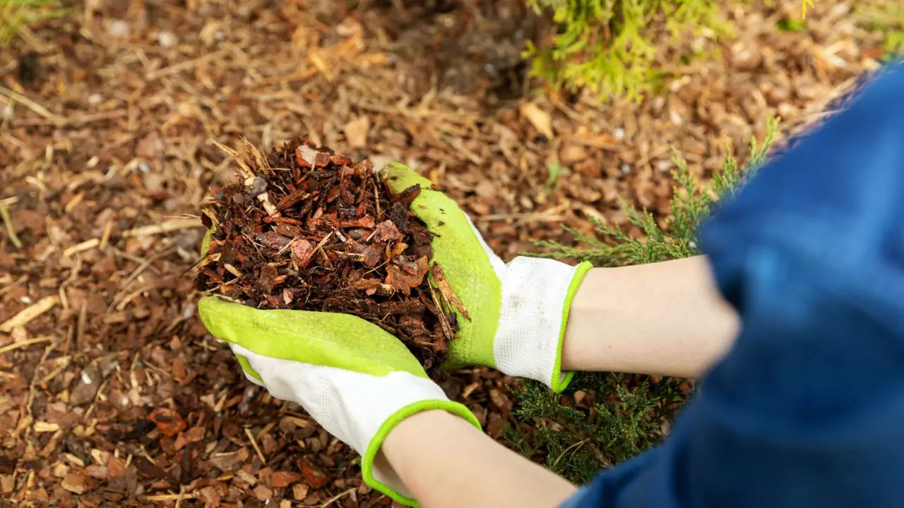 Mulch types