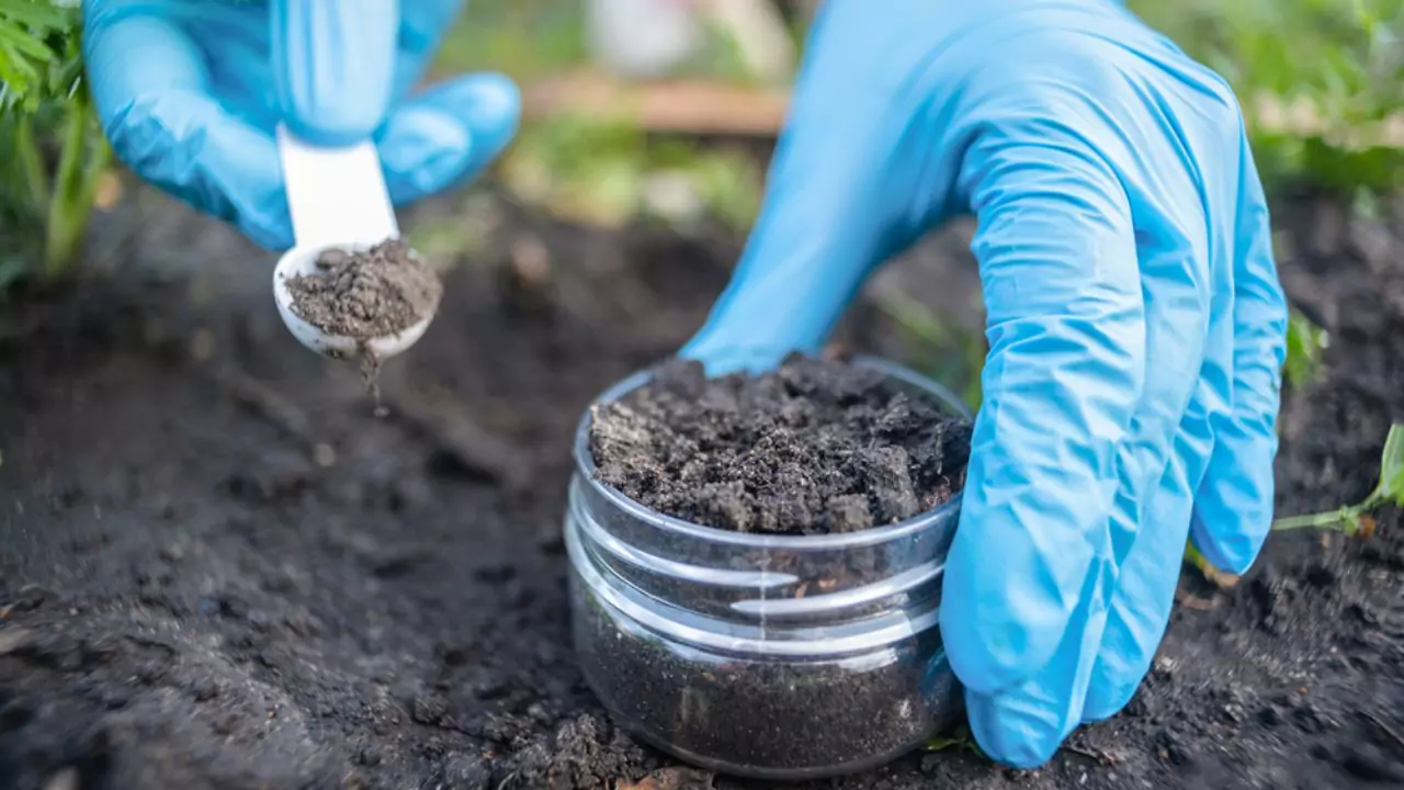 How to Use Organic Garden Lime